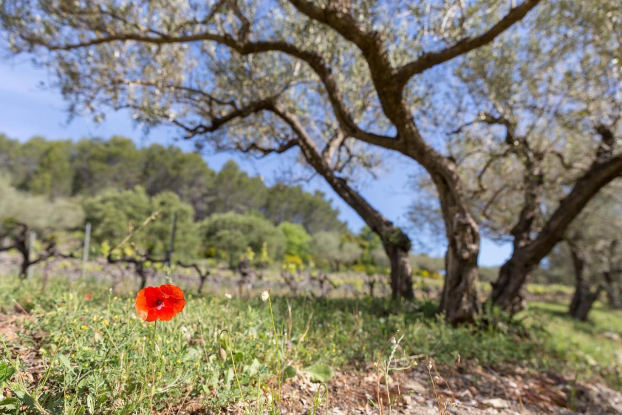 Domaine Du Clos D'Alari-Chambres D'Hotes Au Milieu Des Vignes Saint-Antonin-du-Var Kültér fotó
