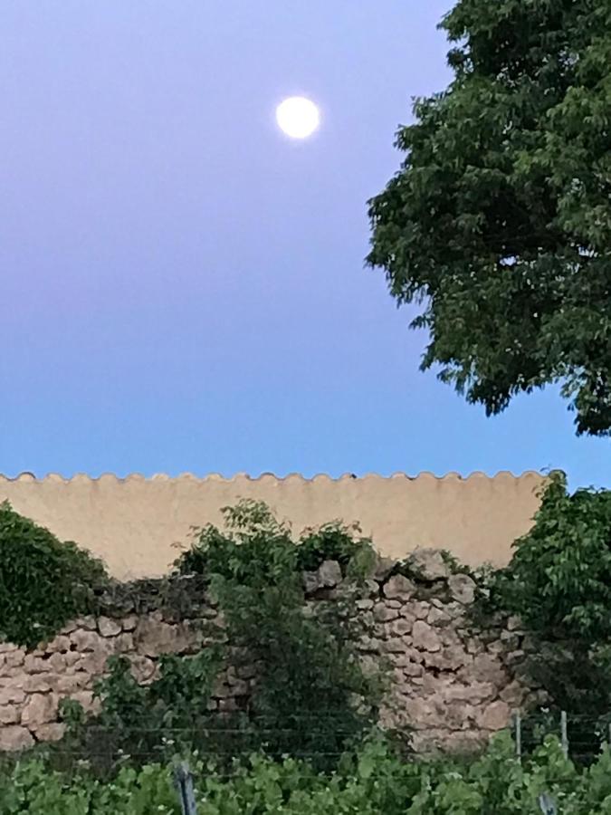 Domaine Du Clos D'Alari-Chambres D'Hotes Au Milieu Des Vignes Saint-Antonin-du-Var Kültér fotó