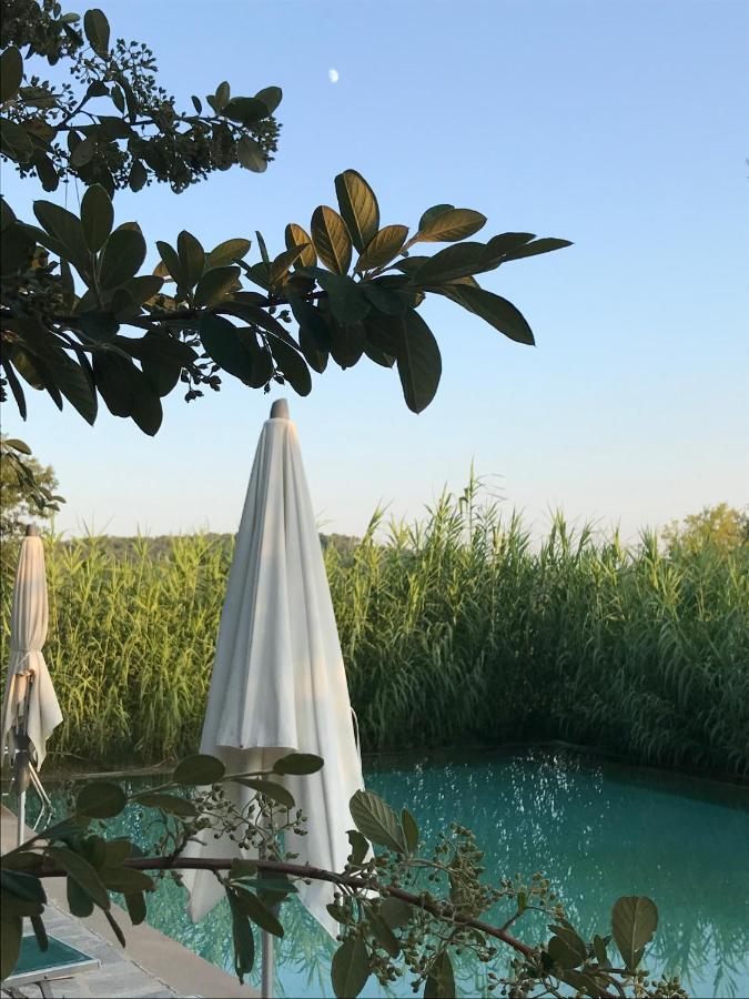 Domaine Du Clos D'Alari-Chambres D'Hotes Au Milieu Des Vignes Saint-Antonin-du-Var Kültér fotó