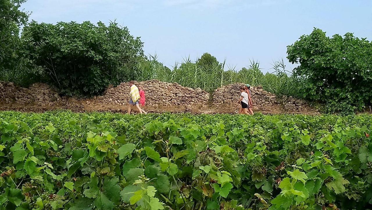 Domaine Du Clos D'Alari-Chambres D'Hotes Au Milieu Des Vignes Saint-Antonin-du-Var Kültér fotó