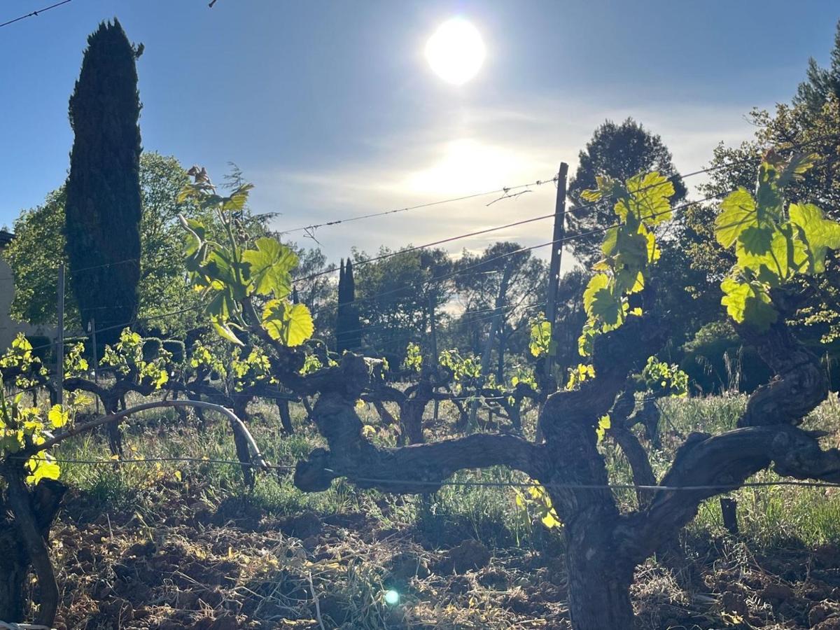 Domaine Du Clos D'Alari-Chambres D'Hotes Au Milieu Des Vignes Saint-Antonin-du-Var Kültér fotó
