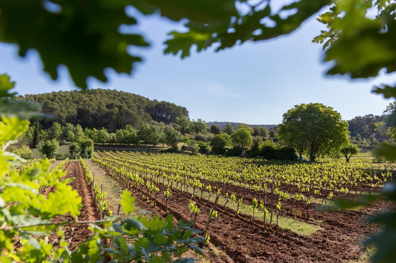 Domaine Du Clos D'Alari-Chambres D'Hotes Au Milieu Des Vignes Saint-Antonin-du-Var Kültér fotó