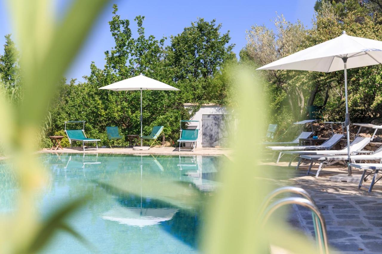 Domaine Du Clos D'Alari-Chambres D'Hotes Au Milieu Des Vignes Saint-Antonin-du-Var Kültér fotó